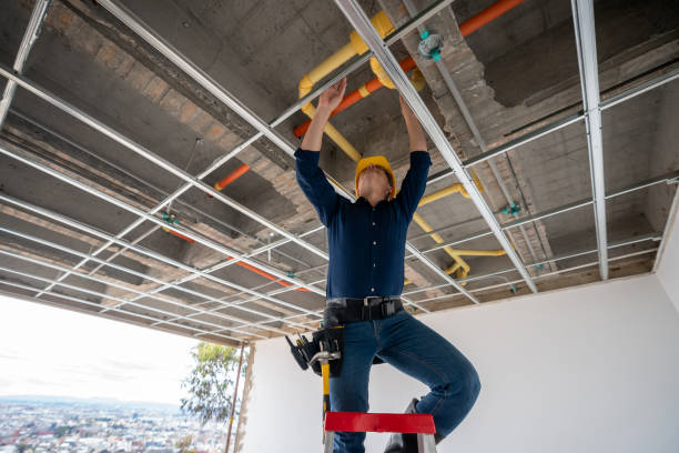 Best Leak Detection Services  in Fate, TX